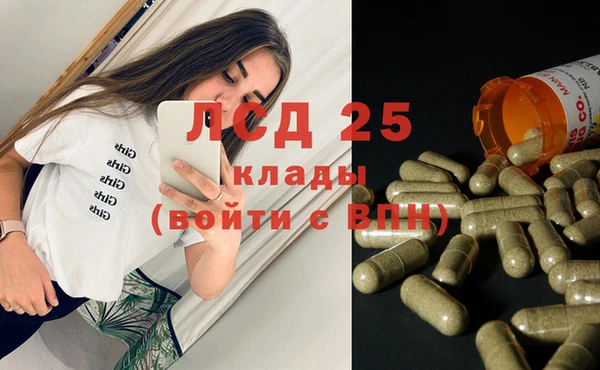 гидра Арсеньев