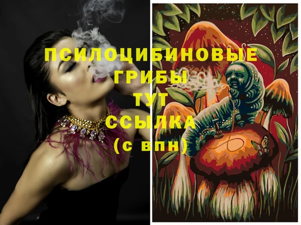 СК Валдай