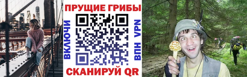 Галлюциногенные грибы MAGIC MUSHROOMS  Ивдель 
